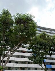 Blk 30 Bendemeer Ville (Kallang/Whampoa), HDB 3 Rooms #482814171